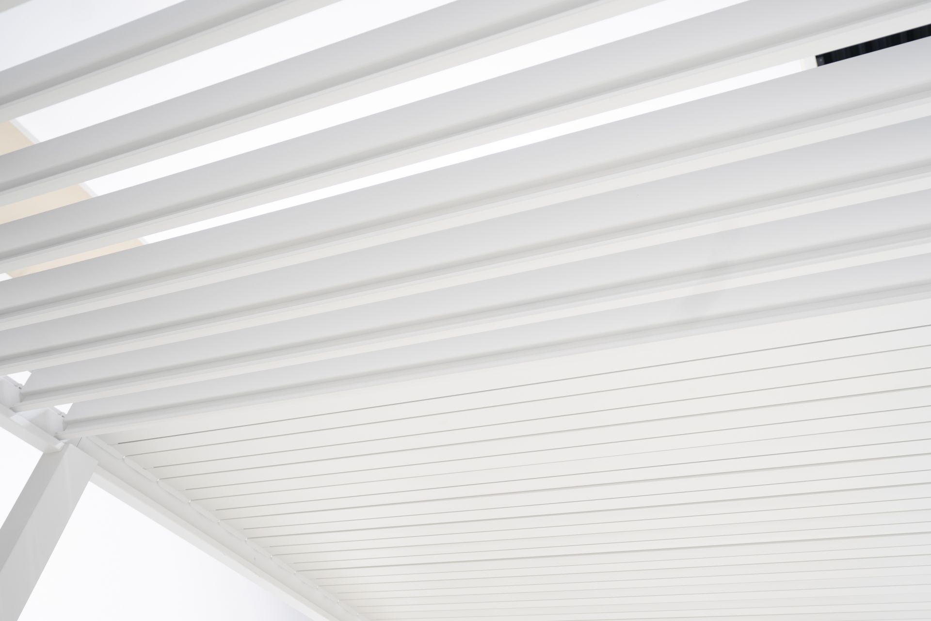 Mirador Classic overkapping - 300x600cm - Wit