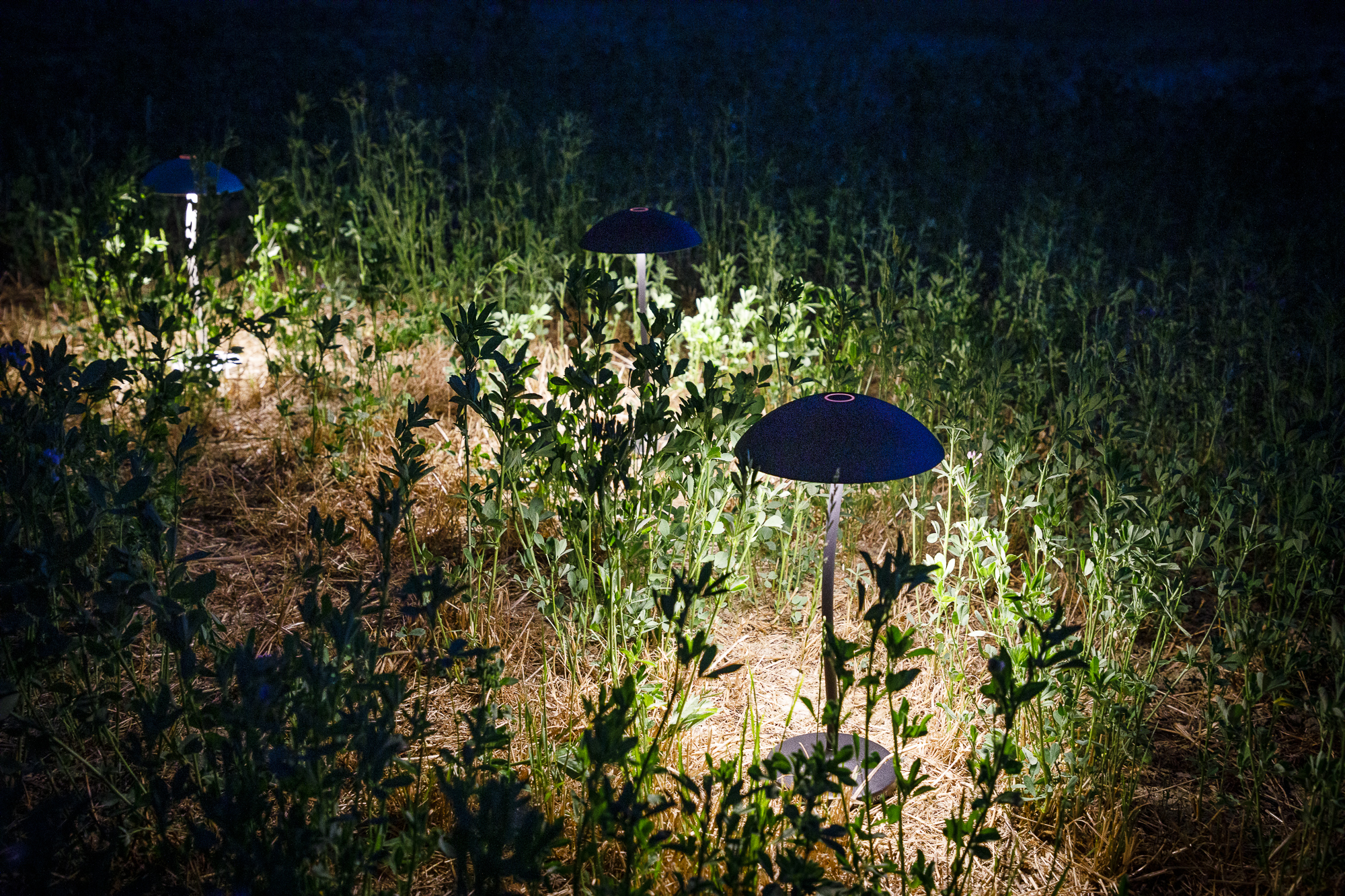 Blackout STEM oplaadbare tafellamp - Zwart - Geschikt voor buiten - Design lamp - Draadloos en dimbaar - 5000 mAh - Zeer geschikt voor op tafel